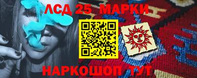 крисы Кулебаки