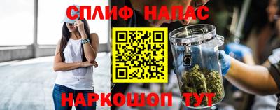 крисы Кулебаки