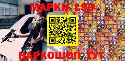 крисы Кулебаки