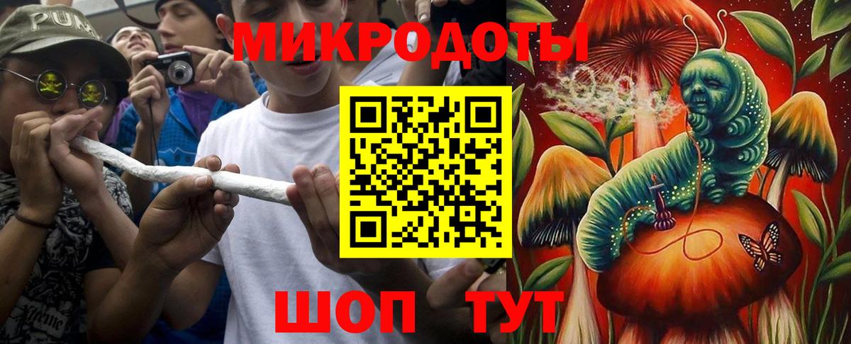 Псилоцибиновые грибы Psilocybe Семёнов